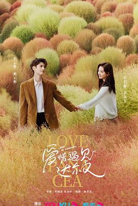 什么是网站建设优化价格